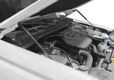 Амортизатор капота RIVAL A.ST.2003.1