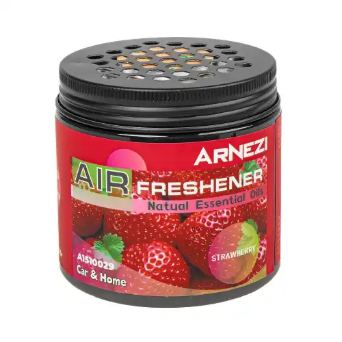 ARNEZI A1510029