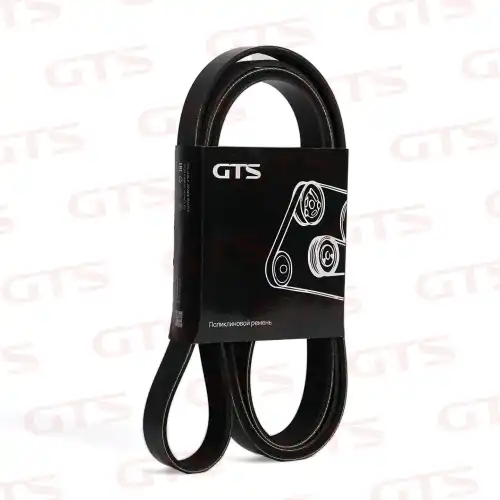 GTS G170101009