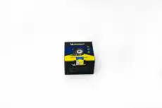 FMMT02304 MICHELIN Ролик приводного ремн
