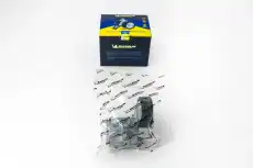 Ролик ремн ГРМ FMMT03734 MICHELIN