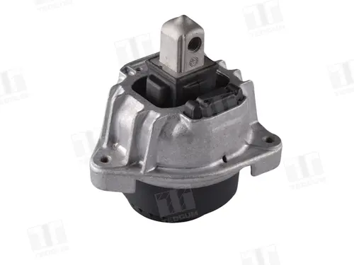 Engine Mounting TED77889 TEDGUM