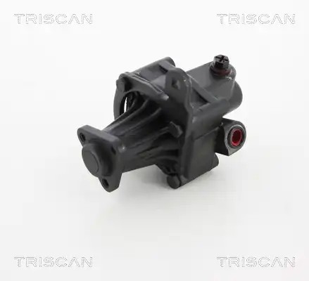 Насос гидроусилителя руля TRISCAN 851 511 643