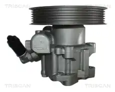 Насос гидроусилителя руля TRISCAN 851 565 613