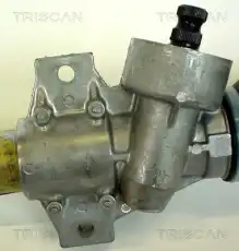 Рулевая рейка TRISCAN 851 010 301