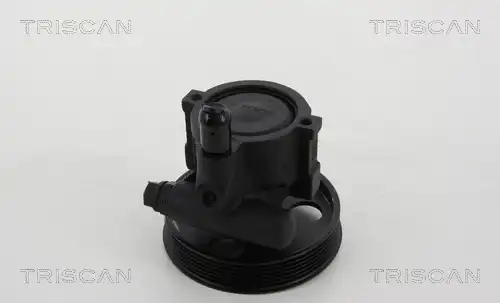 Насос гидроусилителя руля TRISCAN 851 525 629