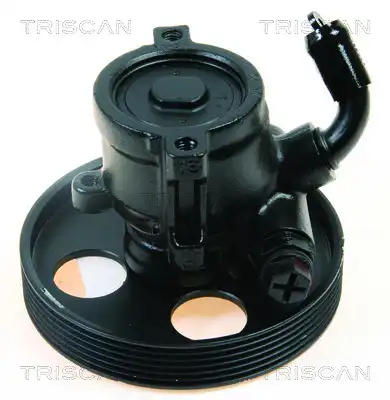 Насос гидроусилителя руля TRISCAN 851 528 619