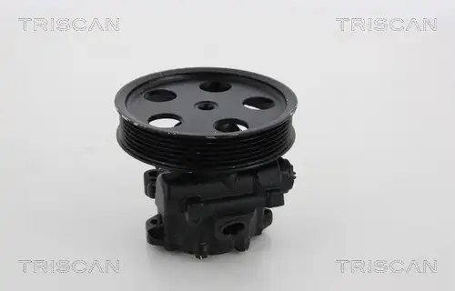 Насос гидроусилителя руля TRISCAN 851 529 635