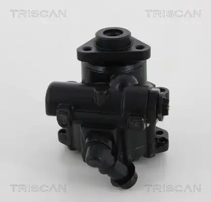 Насос гидроусилителя руля TRISCAN 851 529 637