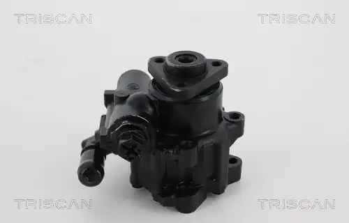 Насос гидроусилителя руля TRISCAN 851 529 638