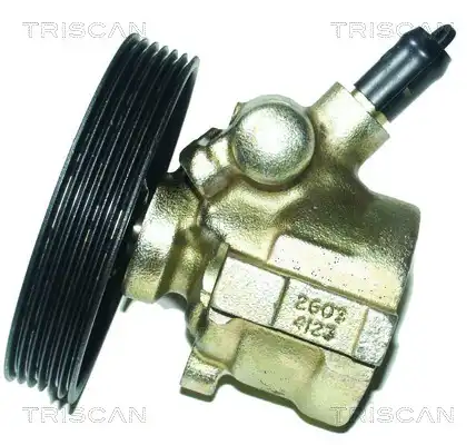 Насос гидроусилителя руля TRISCAN 851 565 603