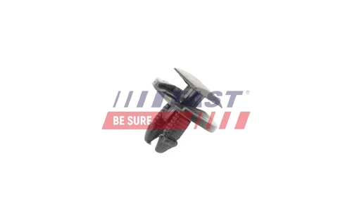 Удерживающая пружина FT96325 FAST