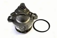 помпа Ren D11081TT THERMOTEC