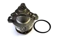 помпа Ren D11081TT THERMOTEC