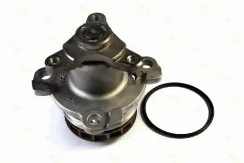 помпа Ren D11081TT THERMOTEC