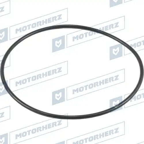 Кольцо уплотнительное автомобильное MOTORHERZ HR0202C