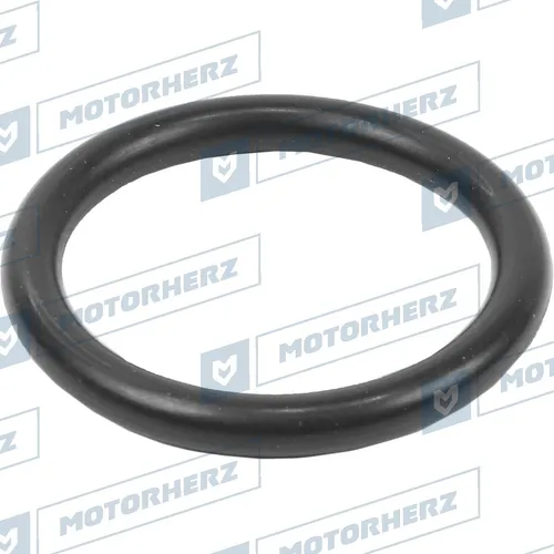 Кольцо уплотнительное автомобильное MOTORHERZ HR0225C