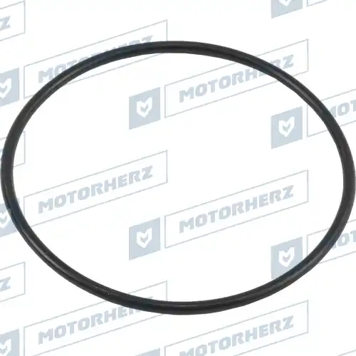 Кольцо уплотнительное автомобильное MOTORHERZ HR0488AC