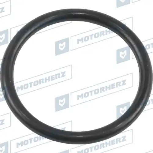 Кольцо уплотнительное автомобильное MOTORHERZ HR0657C