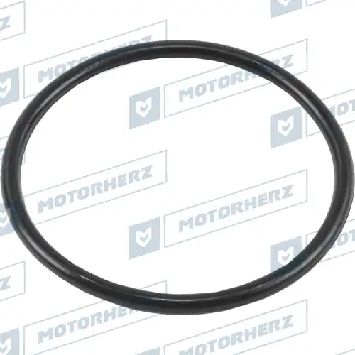 Кольцо уплотнительное автомобильное MOTORHERZ HR0750C