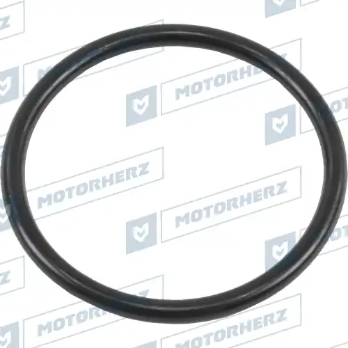 Кольцо уплотнительное автомобильное MOTORHERZ HR0753C