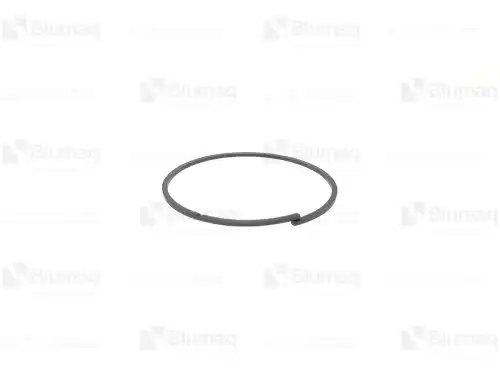 Кольцо уплотнительное автомобильное BLUMAQ VO17483041
