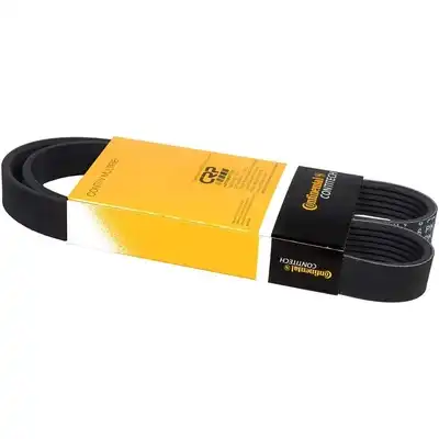 Ремень клиновой CONTINENTAL 6PK1003