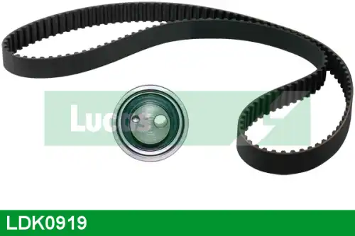 ремкомплект ГРМ Audi LDK0919 LUCAS