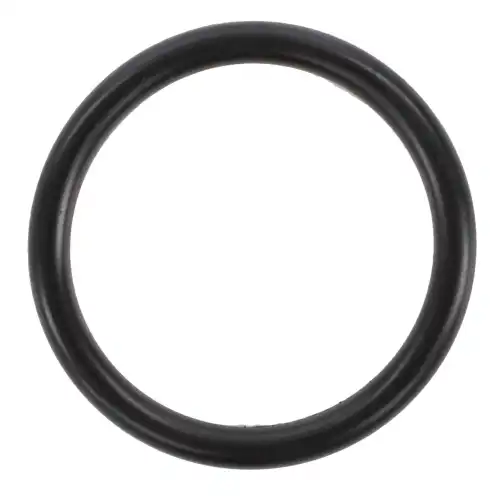 F954200510090 Уплотнительное кольцо AGCO