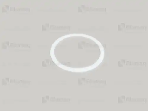 Кольцо уплотнительное автомобильное BLUMAQ 2093015240