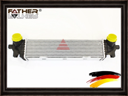 Интеркулер F4296R97 FATHER