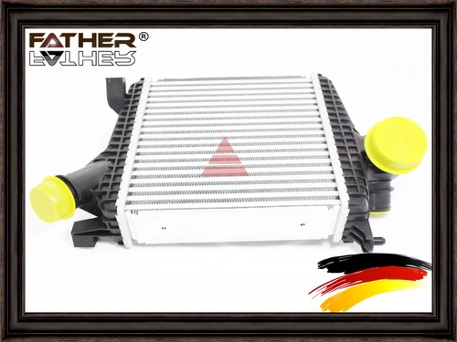 Интеркулер F4297R97 FATHER