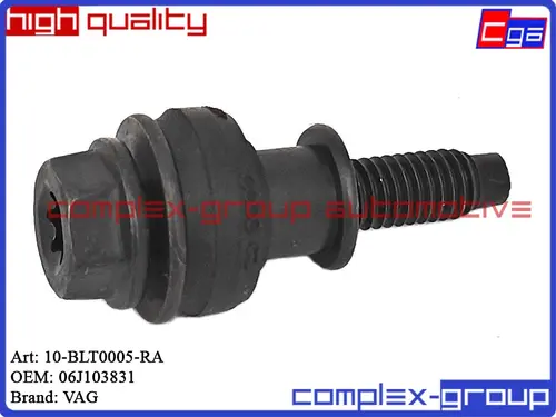 Болт крепления крышки 10BLT0005RA CGA