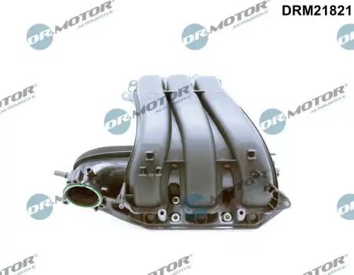 Впускной коллектор DRM21821 DR. MOTOR