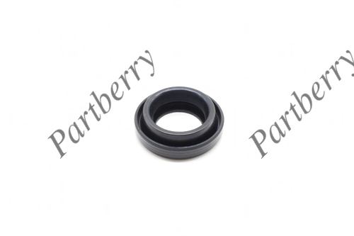 Сальник свечног PB565310 PARTBERRY