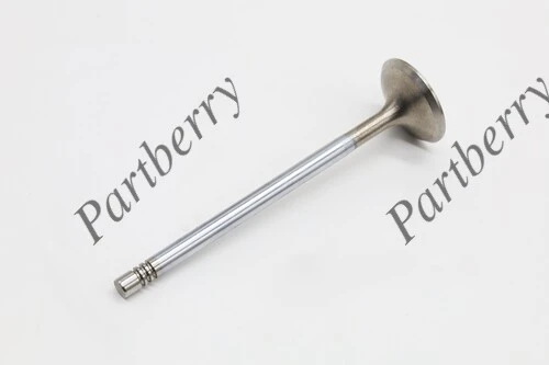 PB133336 Клапан выпускной G21A PARTBERRY