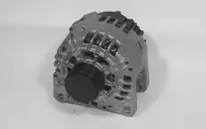 шкив генератора Ren 575.560.125 CV PSH
