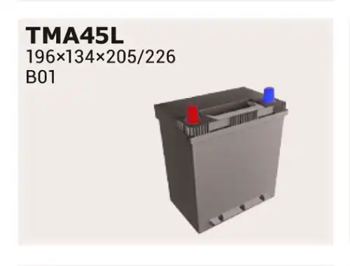 Аккумулятор IPSA TMA45L