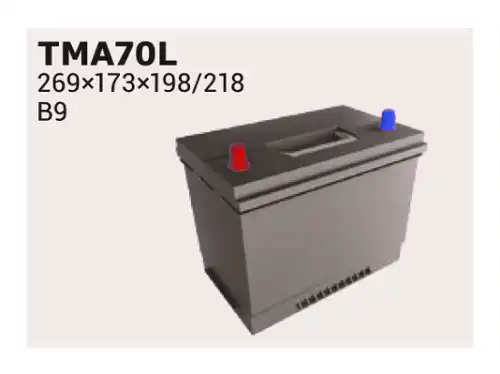 Аккумулятор IPSA TMA70L