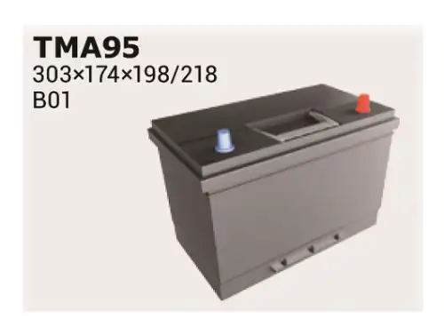 Аккумулятор IPSA TMA95