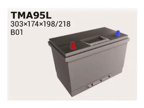 Аккумулятор IPSA TMA95L