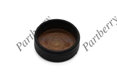 Заглушка ГБЦ PB572761 PARTBERRY