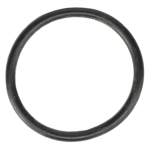 УПЛОТНИТЕЛЬНОЕ КОЛЬЦО 70924416 AGCO