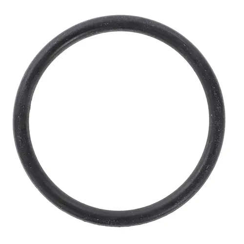 УПЛОТНИТЕЛЬНОЕ КОЛЬЦО AG053485 AGCO