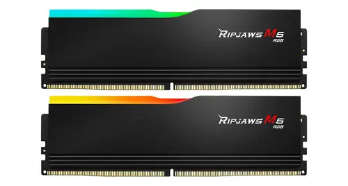 ОЗУ G.Skill F5-6000J3036F48GX2-RM5RK