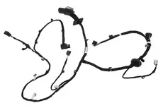 HARNESS,FRT S/D DR WRG 95385936 BUICK