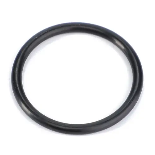 Кольцо уплотнительное F339300021110 AGCO