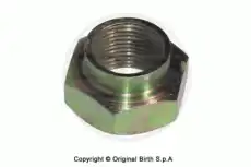  4072, ГАЙКА BIRTH ИТАЛИЯ