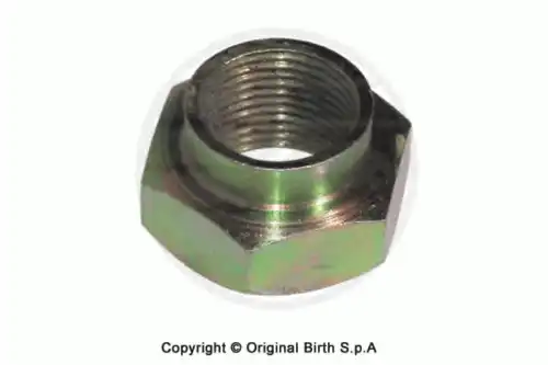  4072, ГАЙКА BIRTH ИТАЛИЯ