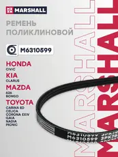MARSHALL M6310599
